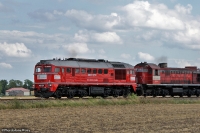 DSC01690.JPG