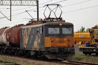 DSC02153.JPG