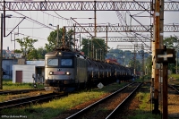 DSC03904.JPG