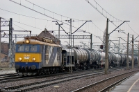DSC04417.JPG