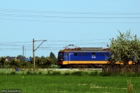 DSC06509.JPG