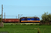 DSC06511.JPG