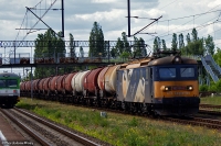 DSC06525.JPG