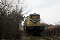 sm42-2632.jpg